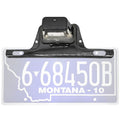 License Plate Lamp w/ Bracket - Black
